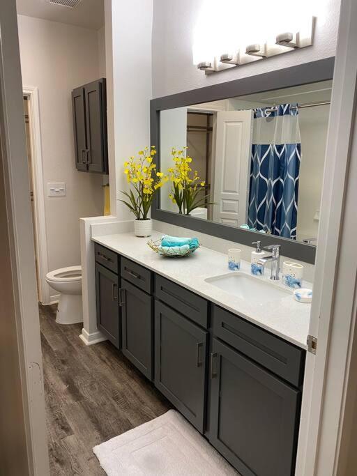 Your Warm Spacious Unit With Pool - Medical Center Houston Exteriér fotografie